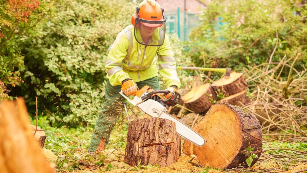 a man with a chainsaw cutting a tree